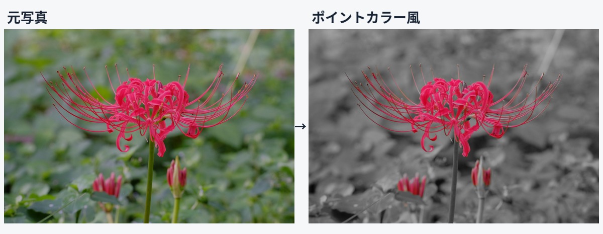 花|色を主役にの元写真と参考加工の比較