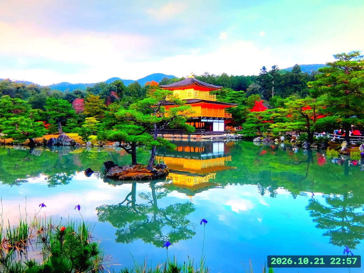 鮮やかな庭園と水面